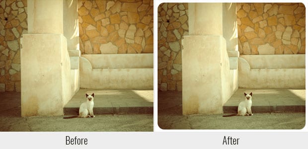 121 Best Free Lightroom Presets That You Will Fall in Love With