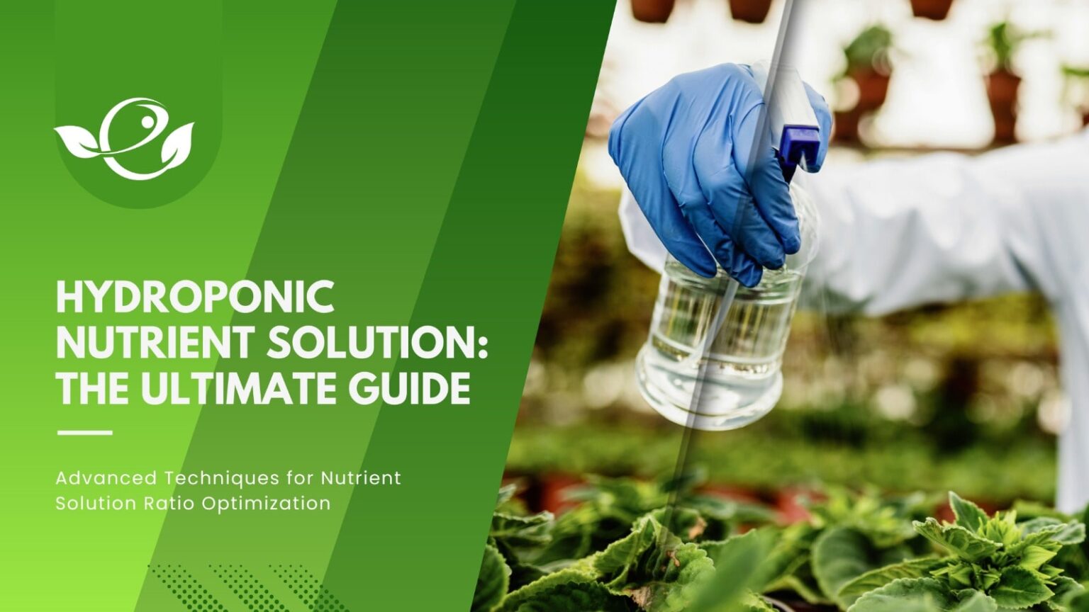 Hydroponic Nutrient Solution The Ultimate Guide