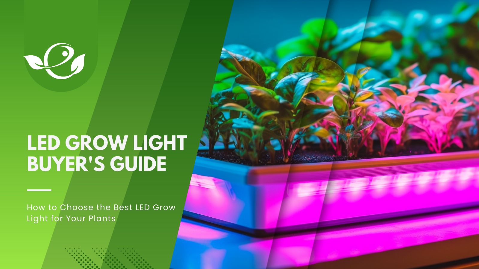 LED Grow Light Buyer's Guide