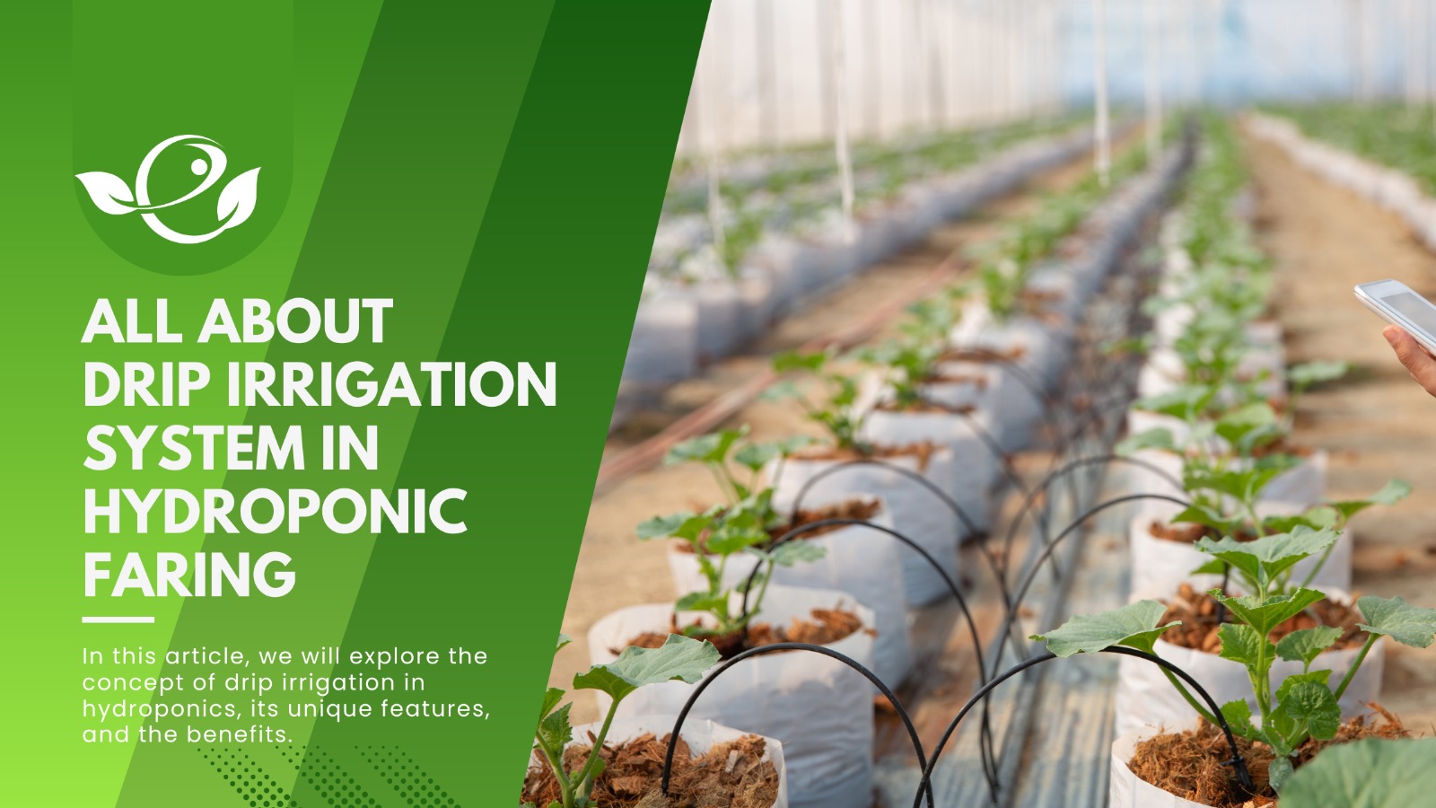 Drip Irrigation in Hydroponics A Beginner's Guide