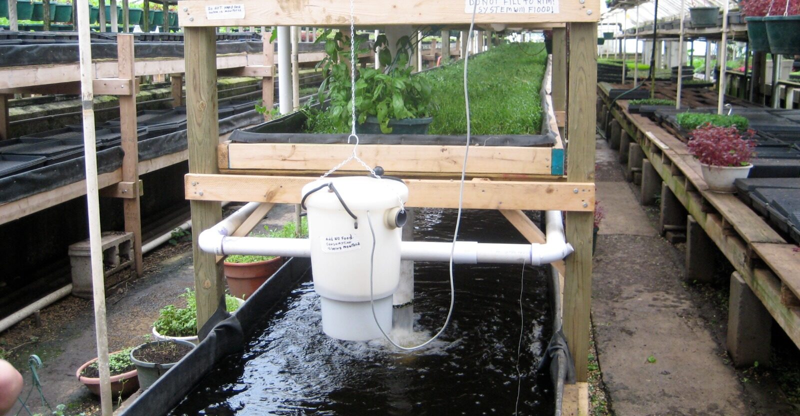 Mastering Pumps and Timers in Your Hydroponic Setup