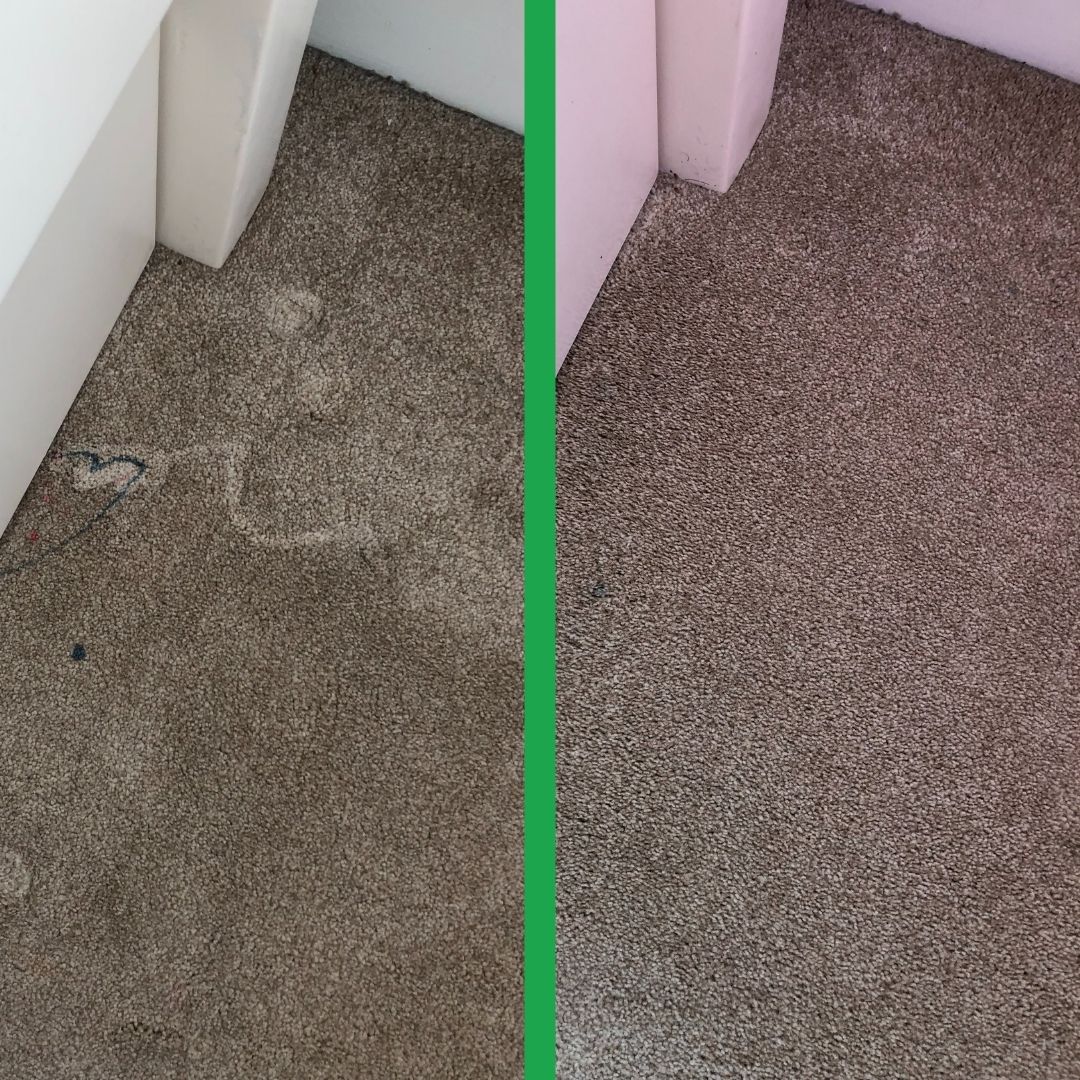 Home Professional Carpet Cleaning Services Enviro Clean