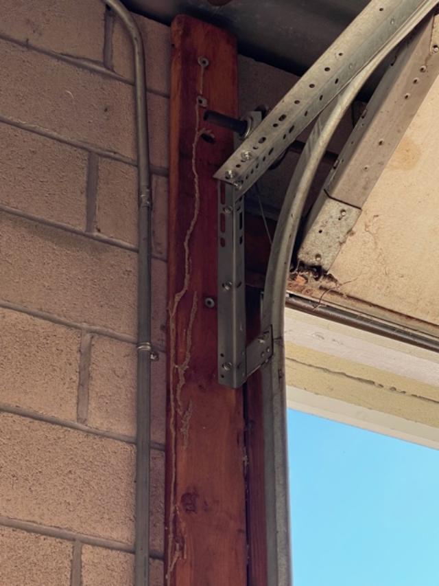 Termites at the garage framing Envirocare Pest Control