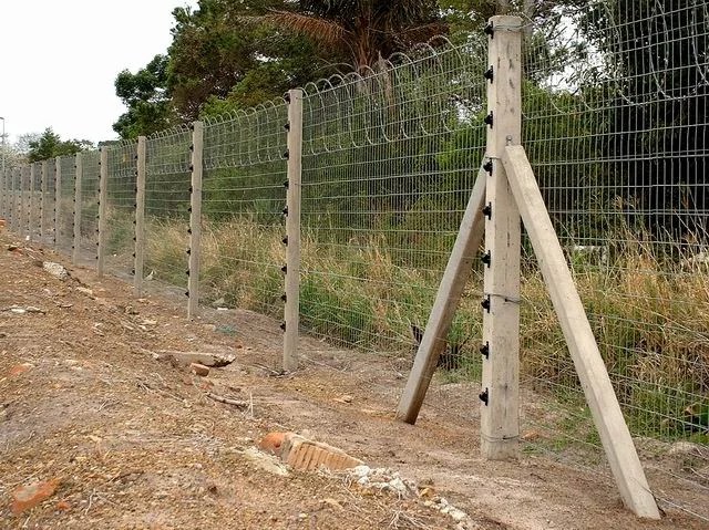 How to Construct an Electric Fence for Goats