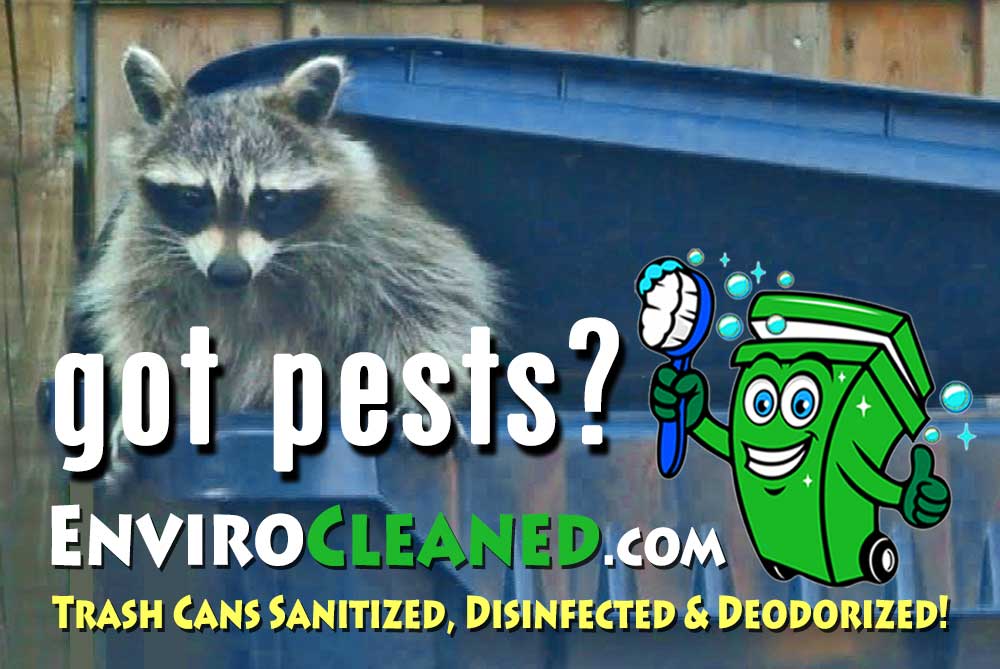 Trash Can Cleaning Service in Greenville, North Carolina