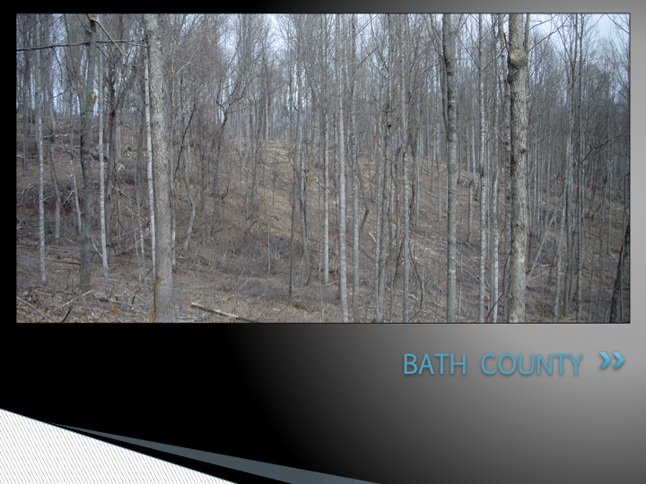 Hardwood Timber Management In Virginia EnviroFor, LLC.