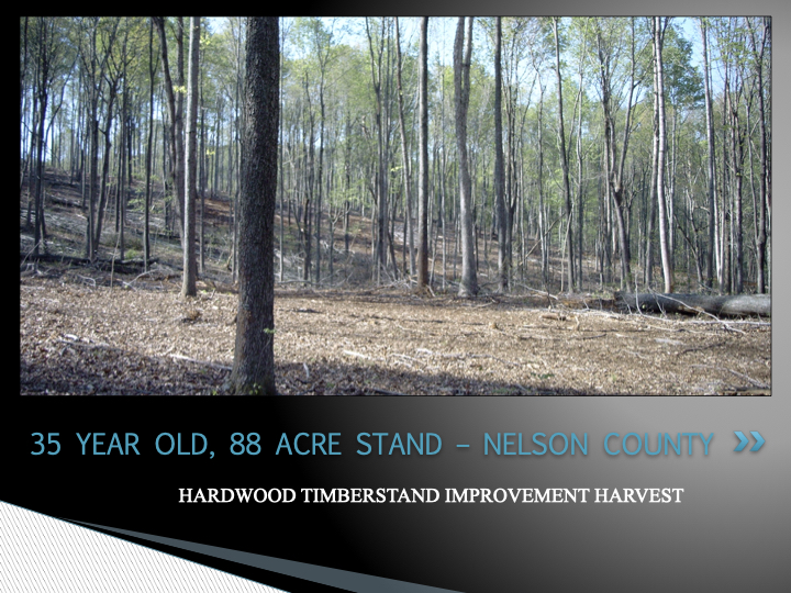 Hardwood Timber Management In Virginia EnviroFor, LLC.