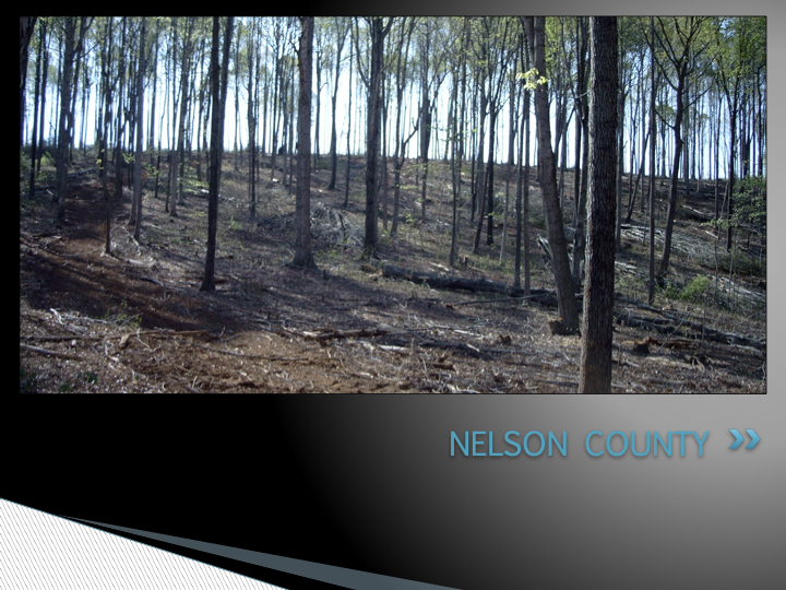 Hardwood Timber Management In Virginia EnviroFor, LLC.