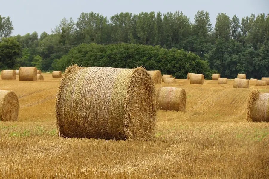 10 EnvironmentFriendly Materials That You Didn't Know About