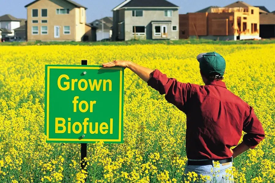 Ultimate Guide To Biofuel Enviroinc