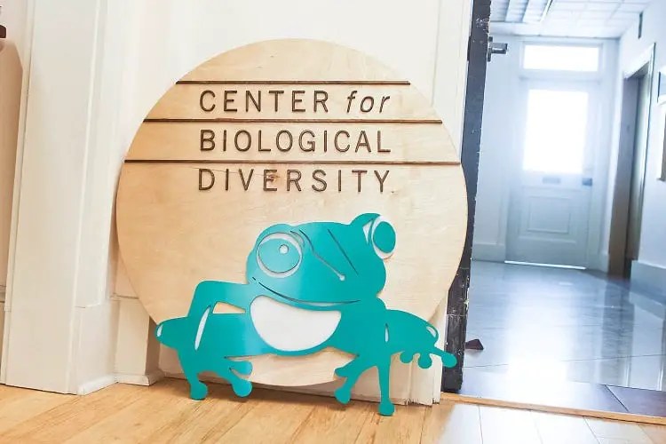 The Best Environmental Nonprofits You Can Help Today Enviroinc