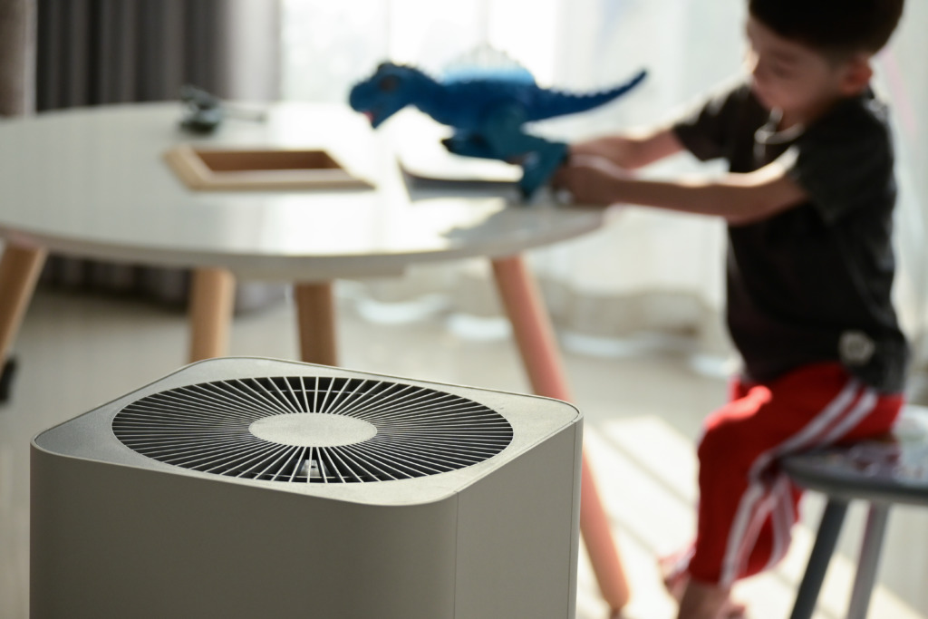 Ionic Air Purifiers Are Ionizers Safe for Your Air?