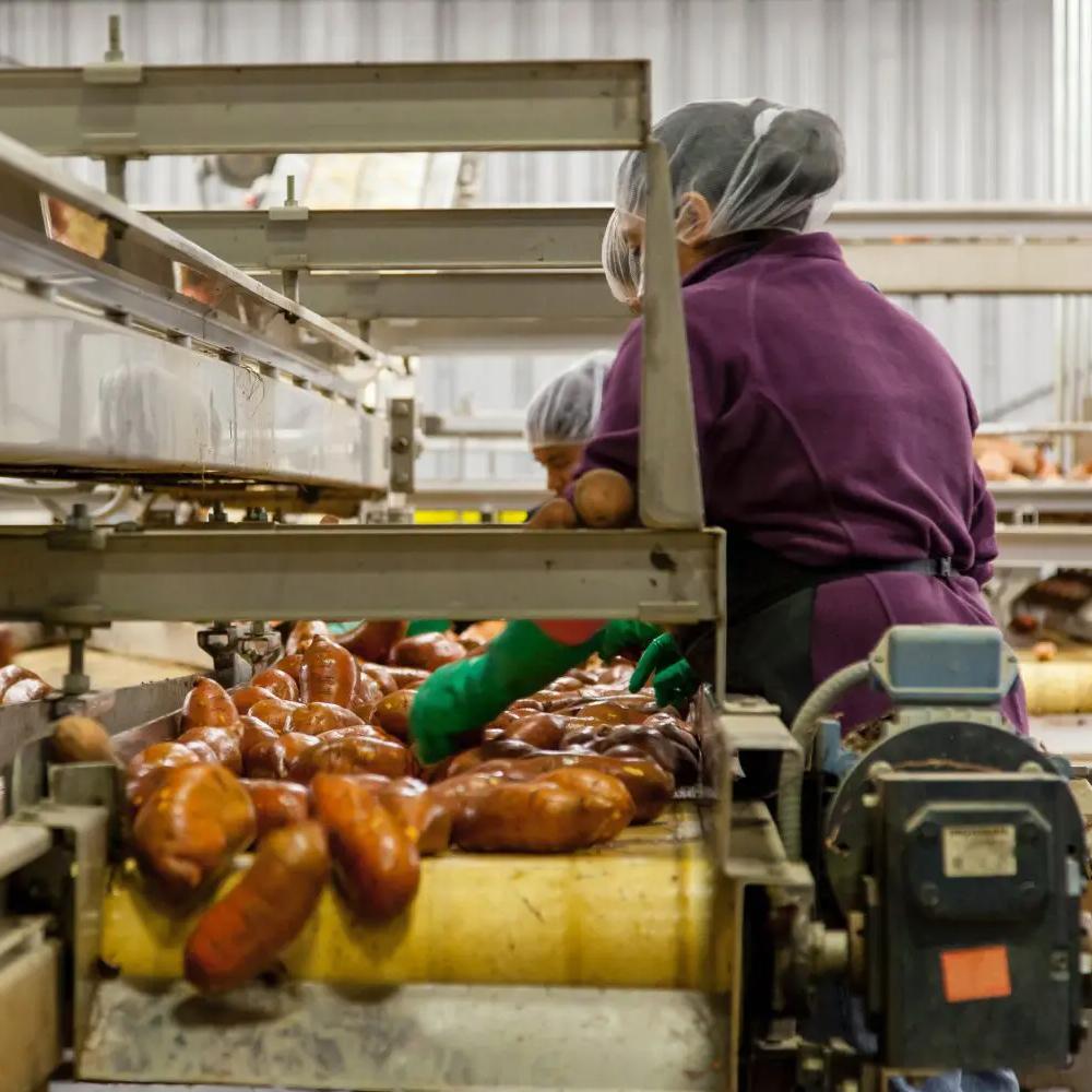 FOOD PROCESSING Envirolysolutions