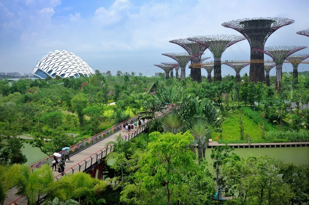 Green Infrastructures What Can Dense Cities Learn from Singapore the
