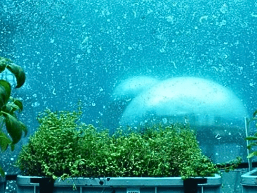 Underwater Farming The Future? EnvironBuzz™ Magazine