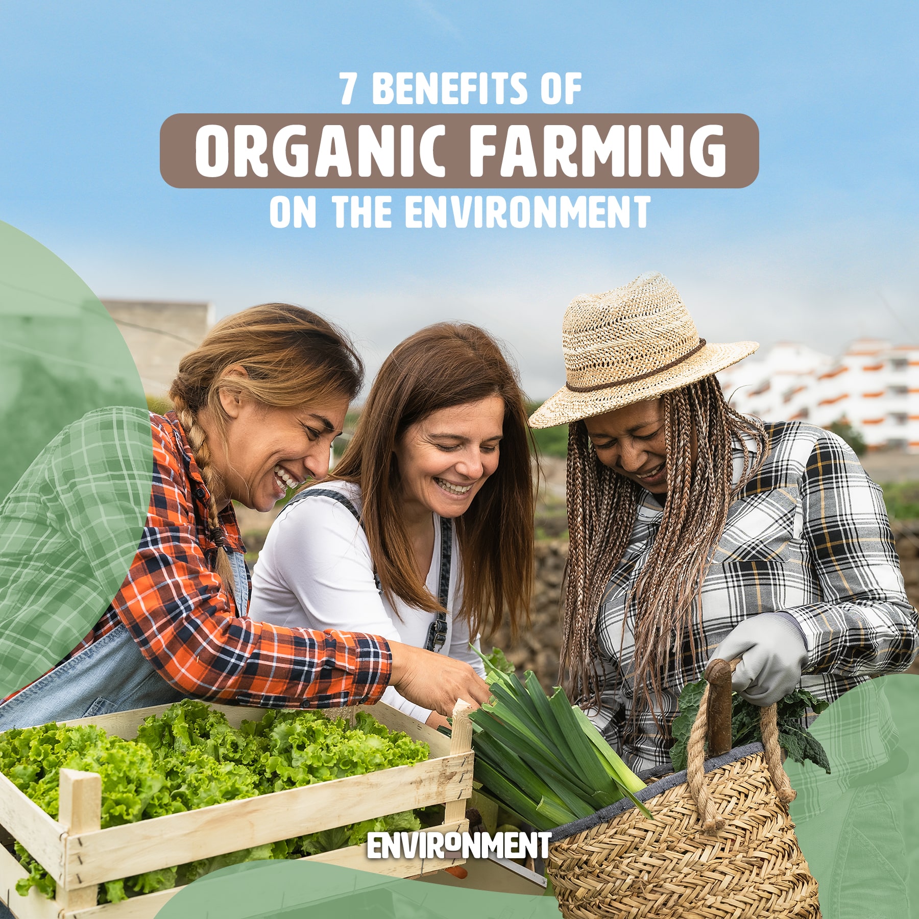 7 Benefits of Organic Farming on the Environment Environment Co