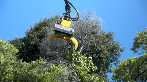 Video Caltrans Using Special Saws for Safer Tree Removal