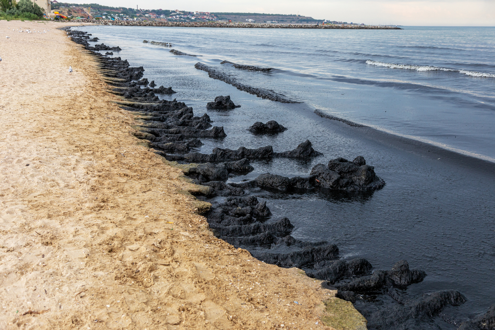 Huntington Beach Oil Spill Gets Slow Response Environmental Watch