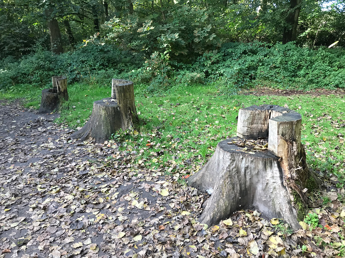 Speke Hall ENVIRONMENTAL ARTWORKS & SCULPTURE TRAILS IN BRITAIN