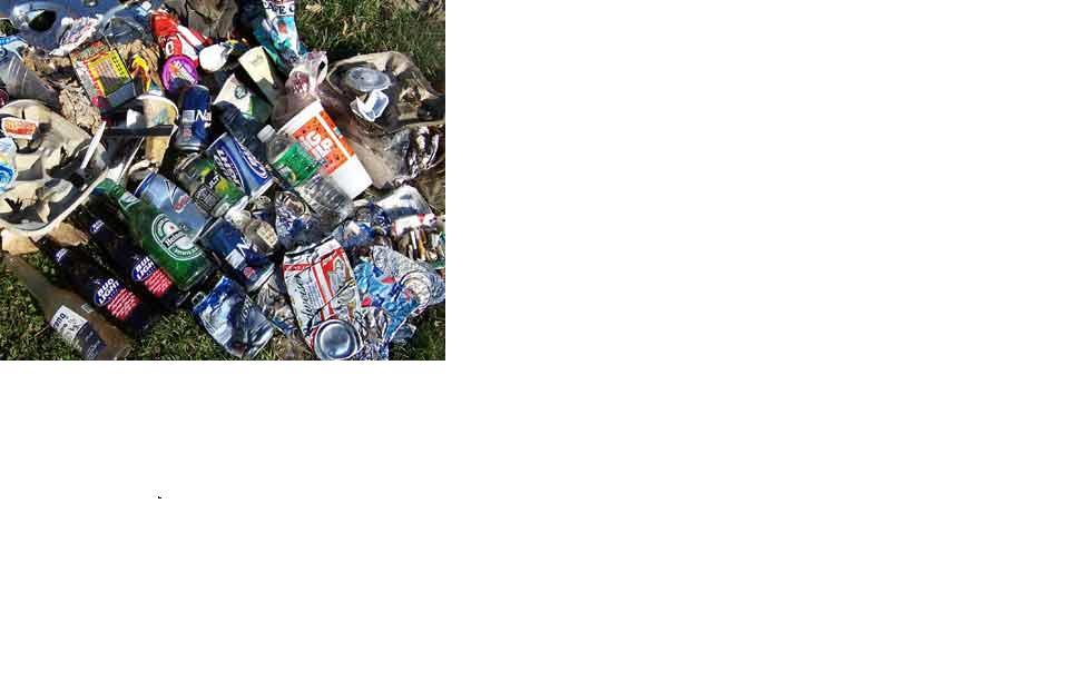 What is litter, and why is it a problem? Environment Champs