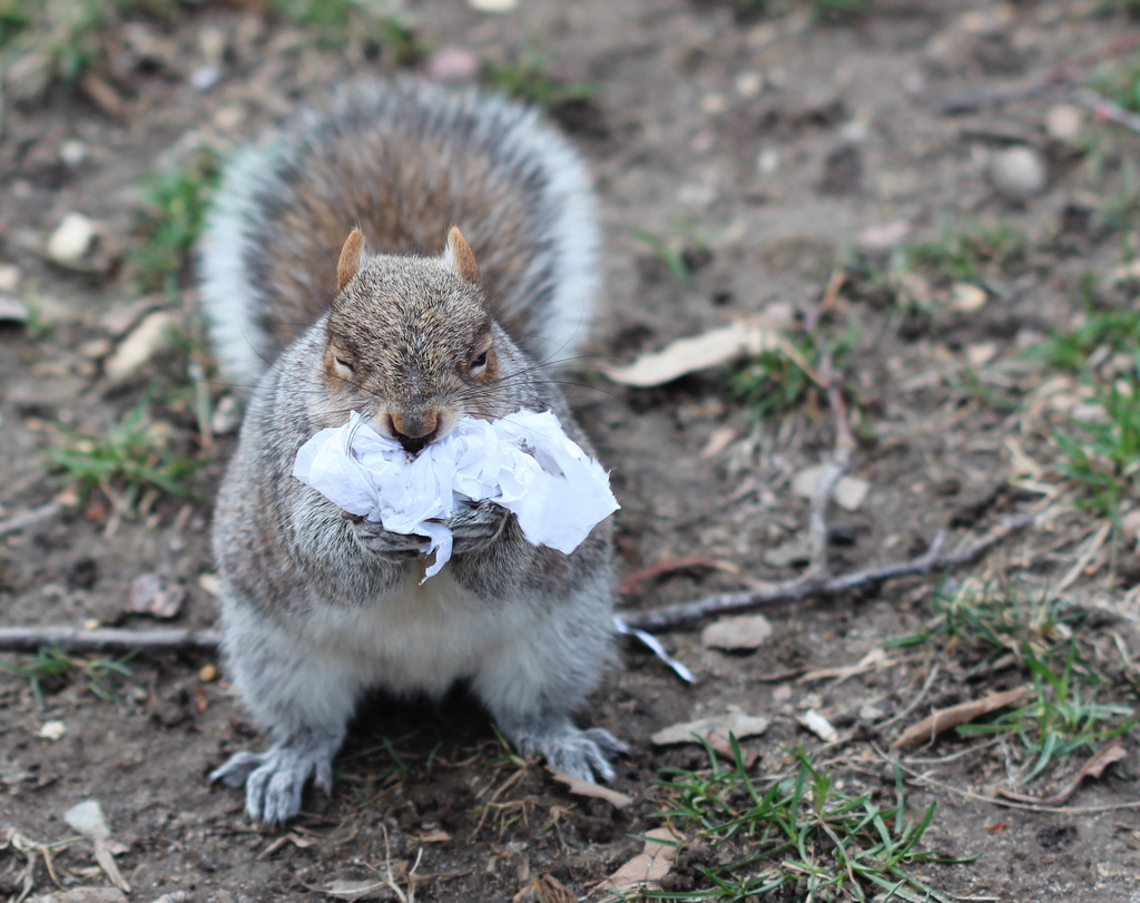 No More Plastic Bags? Environmental Issues at Faculty of