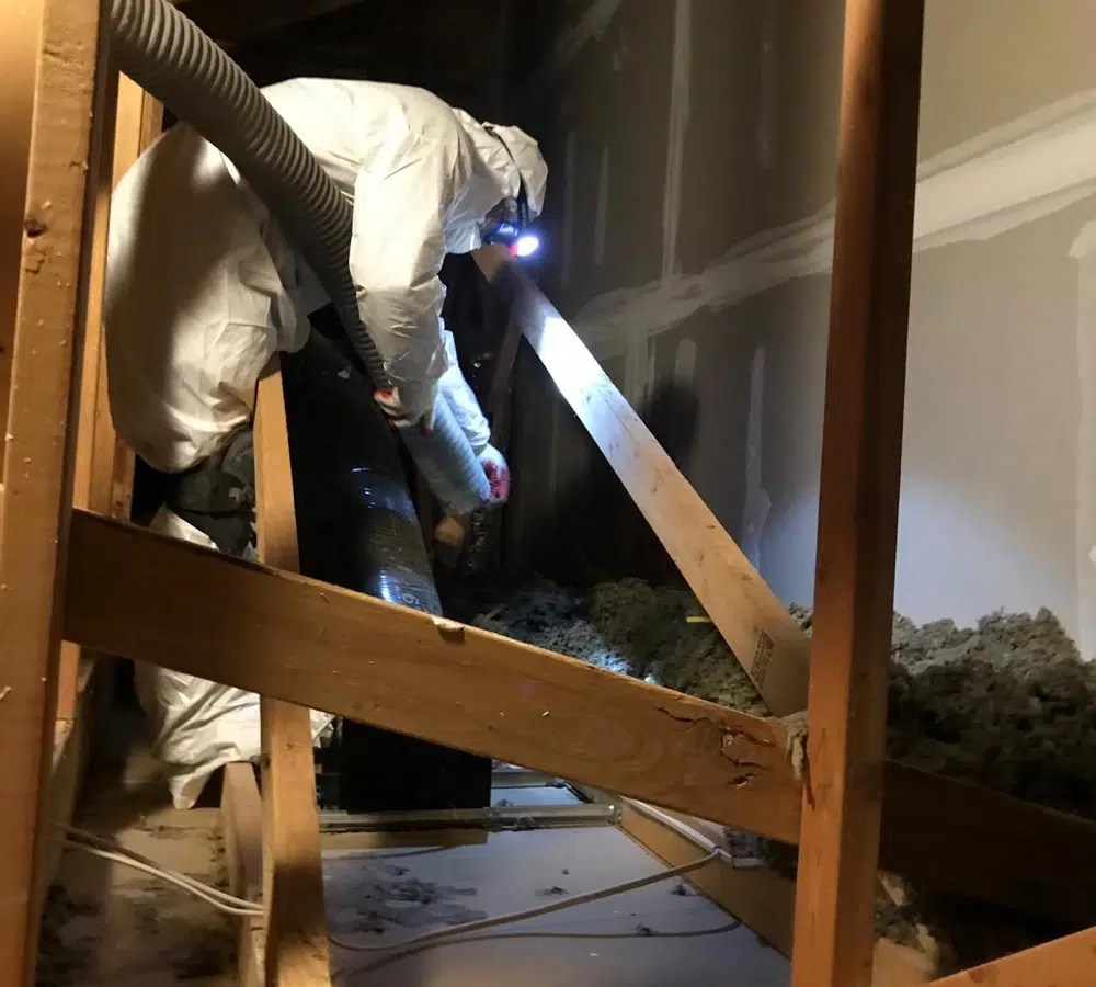 Crawl Space & Attic Annual Inspection Package EnviroSmart Solution