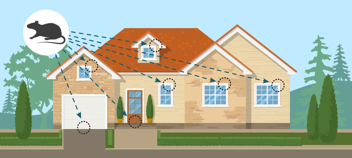 Rodent Proofing & Rodent Droppings Cleanup Services ESS Company
