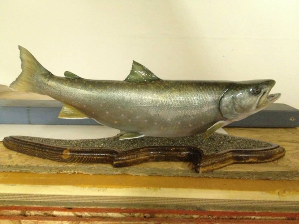 Fiberglass Fish Replicas Envision 3D Studios