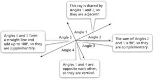 enVision Math Common Core Grade 7 Answer Key Topic 8 Solve Problems