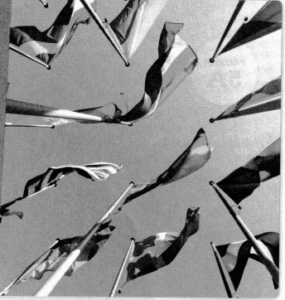 enVision Math Common Core Grade 7 Answer Key Topic 5 Solve Problems