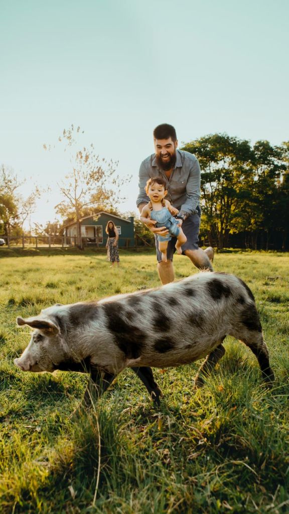 Top 7 des fermes pédagogiques dans le PuydeDôme Média En Vrai