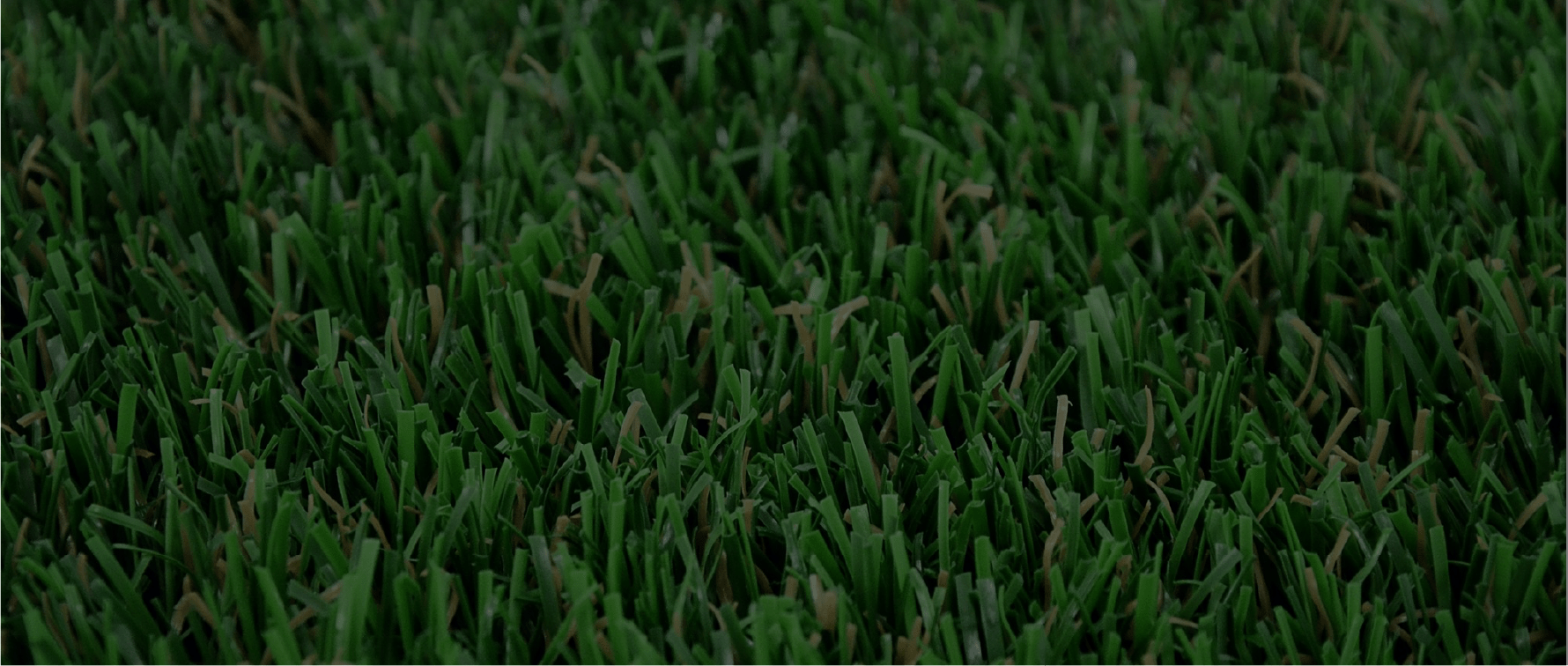 WhyEnvyLawn EnvyLawn