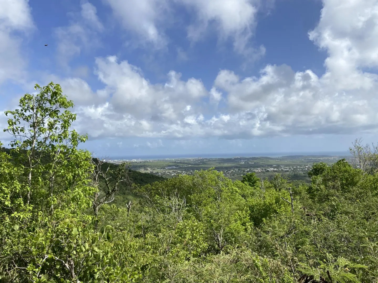 47 Clairmont Nb, St. Croix, 00840, MLS 221340 Sea Glass Properties