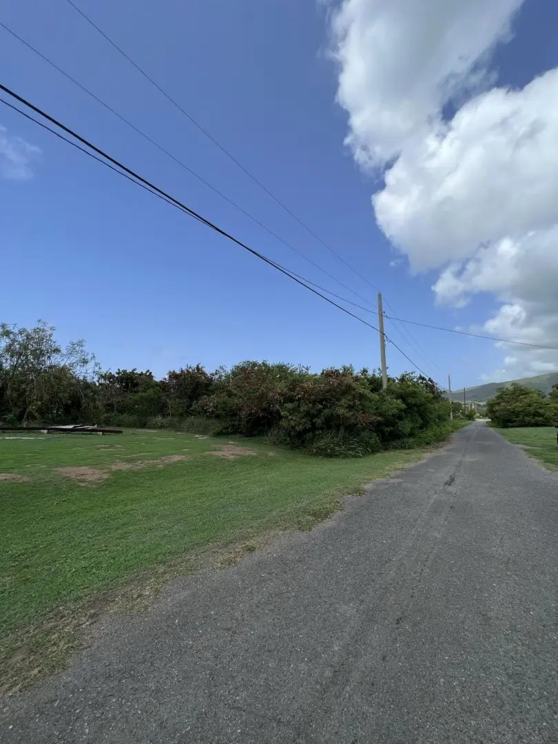 30 Union & Mt. Wash Ea, St. Croix, 00820, MLS 231193 Sea Glass