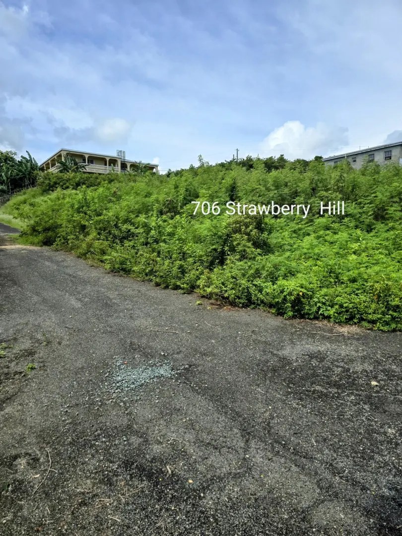 706 Strawberry Hill Qu