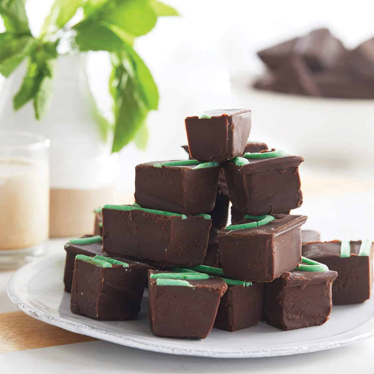 Mint Alps Fudge (1lb) Extra Ordinary Delights