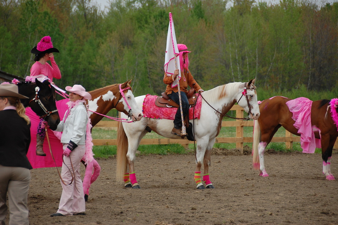 Photo Gallery to the Eastern Ontario Paint Horse Club