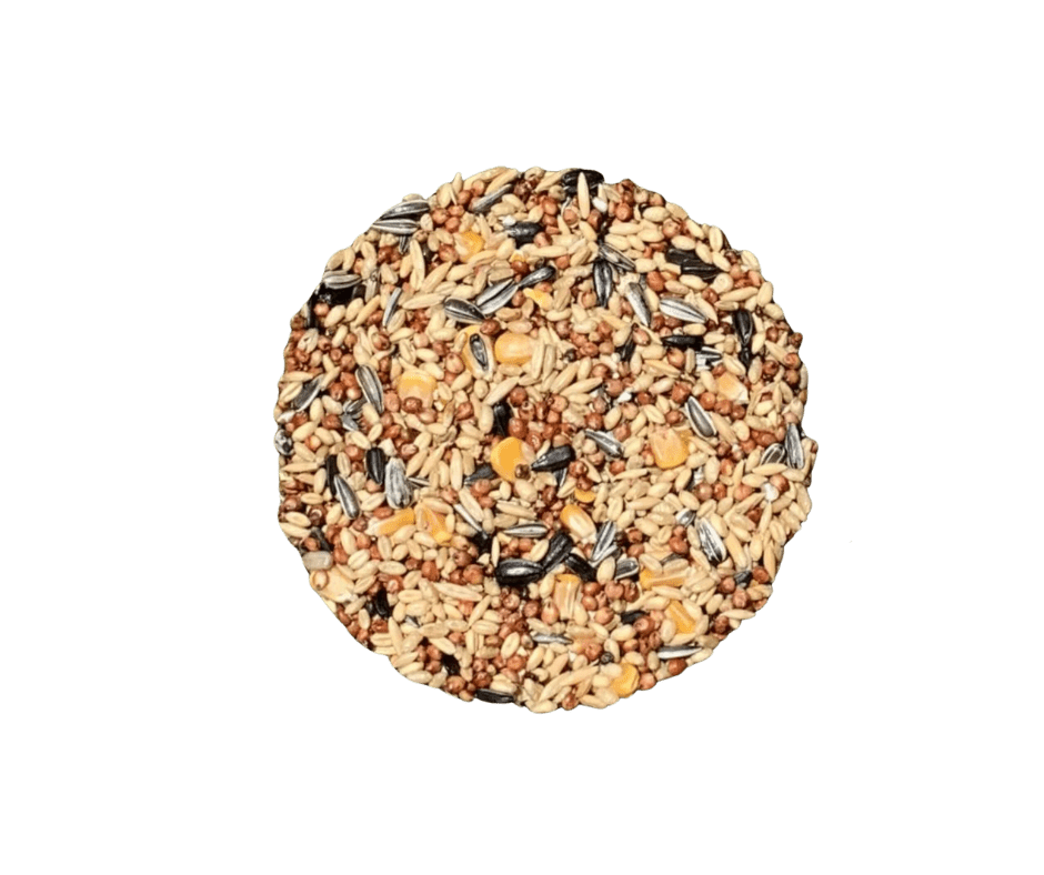 Treat your chickens Hanging Pecking Block Largest Range