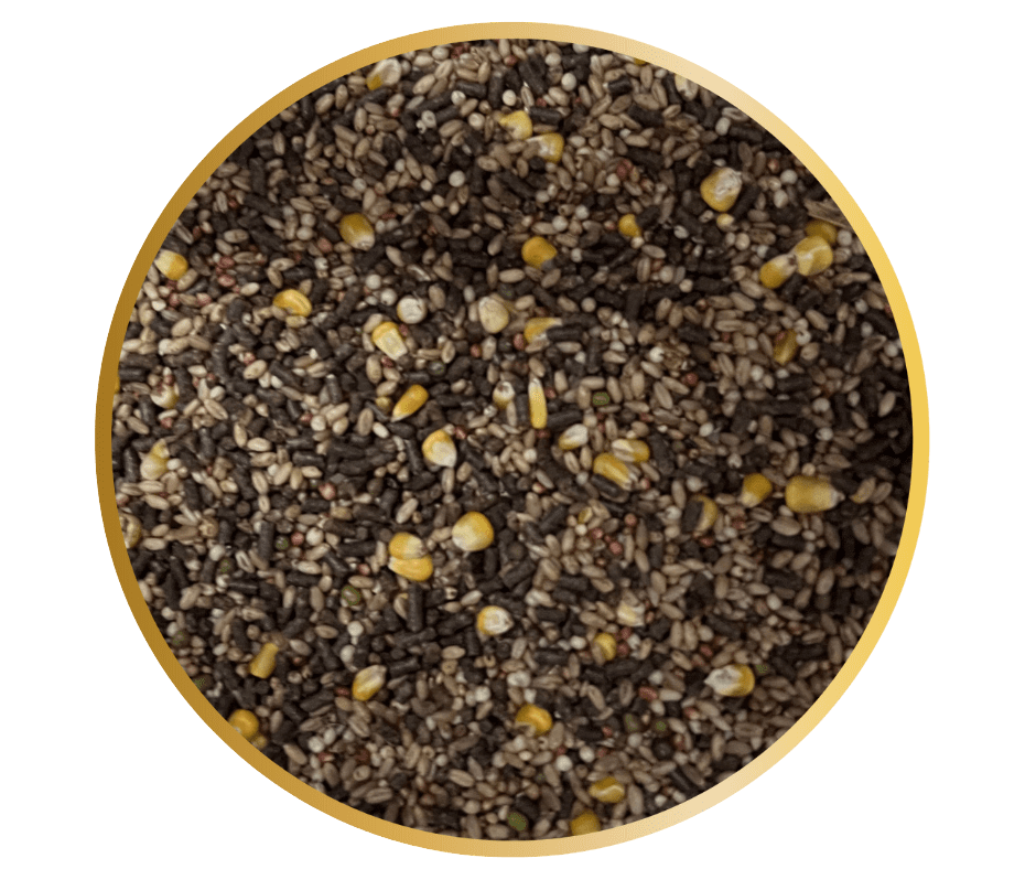 Organic Chicken Feed Healthy chickens = healthy eggs