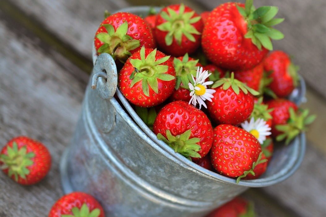 STRAWBERRY FESTIVAL • EOS TOURS Cyprus