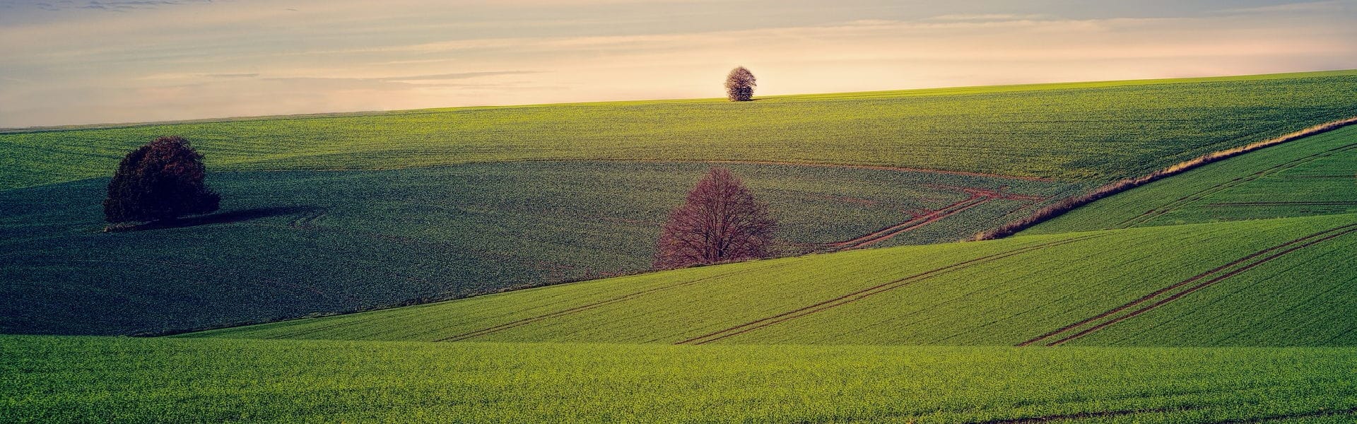 Farm Management 7 Ways How EOSDA LandViewer Can Help In Agriculture