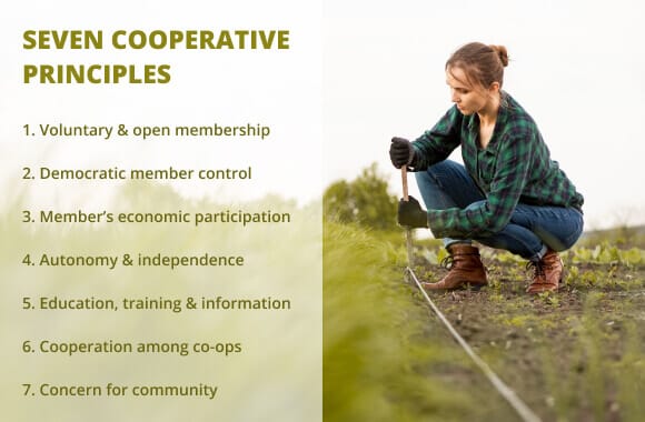 Agricultural Cooperatives: Importance, Types, Pros & Cons