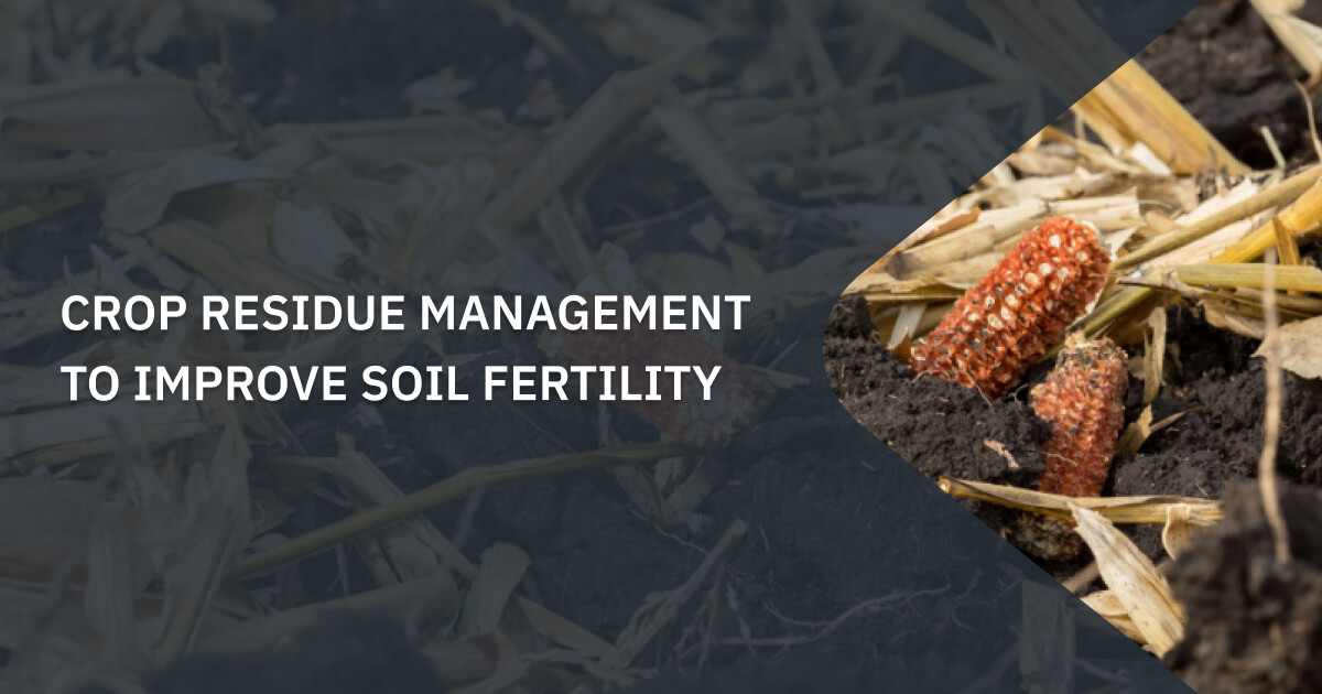 Crop Residue Management Importance, Benefits, And Hurdles