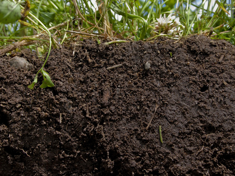 Microbial Activity in Dry Soils Eos