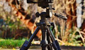 9 Photography Tips for Beginners | EOS Documentation Project