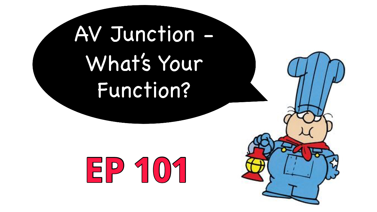 AV Junction What's Your Function? EP Essentials