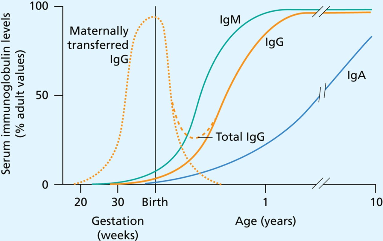 Immune deficiencies in children an overview ADC Education & Practice