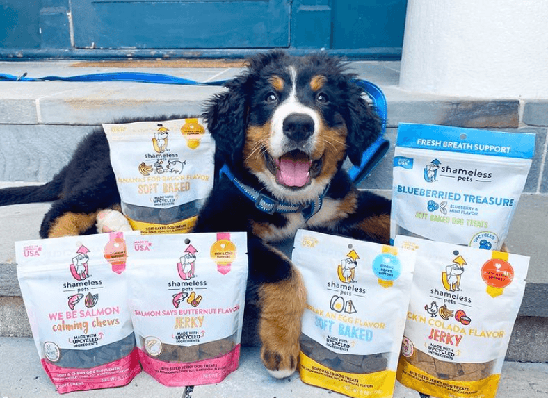 Pet Food & Treat Packaging Flexible Dog, Cat & Other Pet Food