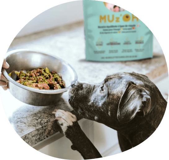 MUz'OH Turns to ePac for High Quality Pet Food Packaging Flexible