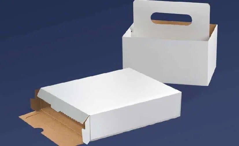 What are the different Types of Carton Boxes?